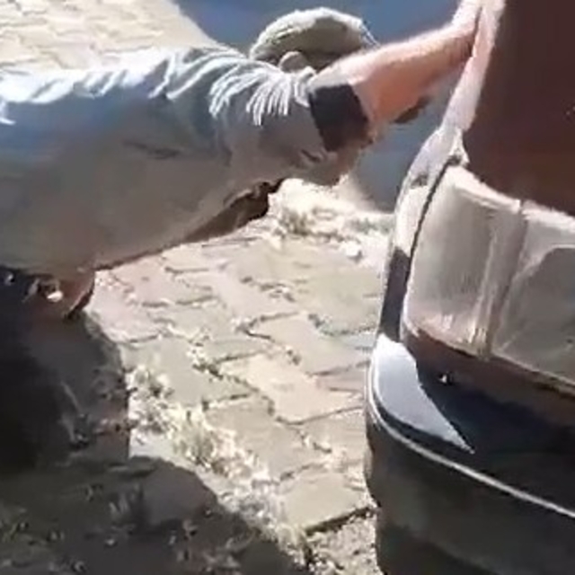 Tokat'ta aracın motor kısmına giren yılanı itfaiye ekipleri kürekle yakalad...