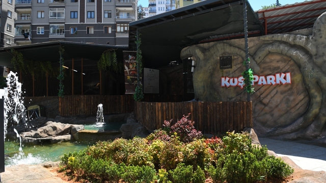 Trabzon'da kuş parkı ilgi çekiyor