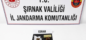 Şırnak'ta jandarma son 1 haftada 104 şüpheli hakkında işlem yaptı