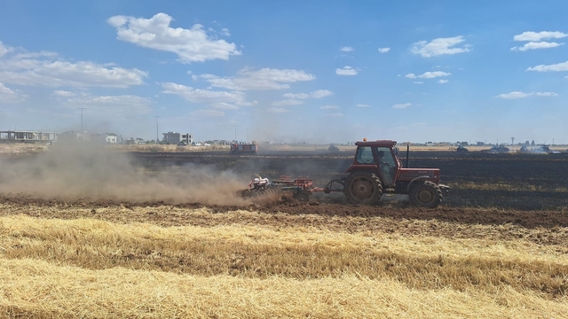 Mardin'de 80 dönüm buğday ekili alan küle döndü