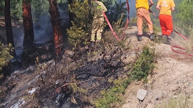 Hatay'da ormanlık alanda çıkan yangın söndürüldü