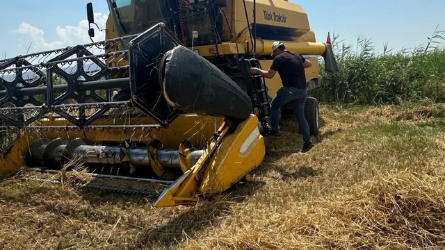 Köşk'te hububat hasadında dane kaybına karşı sıkı denetim