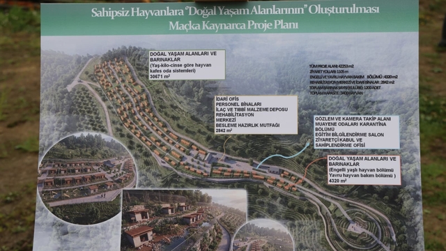 Trabzon'da sokak köpeklerine ev sahipliği yapacak yeni bir barınak inşa edilecek