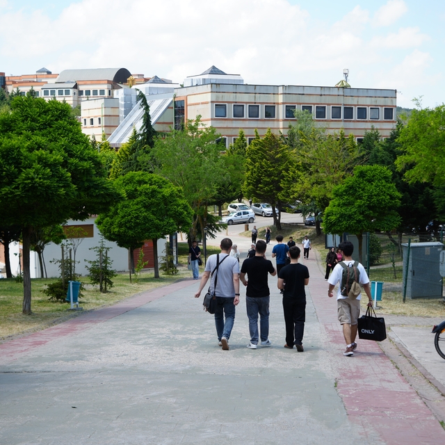 Kocaeli Üniversitesi'nde sahipsiz köpekler azaldı, öğrencilerin endişesi bi...