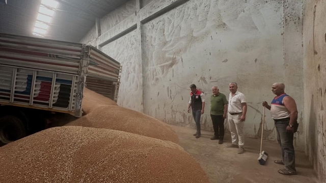 Koçarlı'da ilk hububat alımı gerçekleştirildi