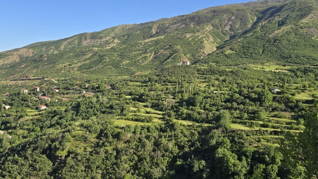 Şırnak'ta ormanlara girişler 30 Eylül'e kadar yasaklandı