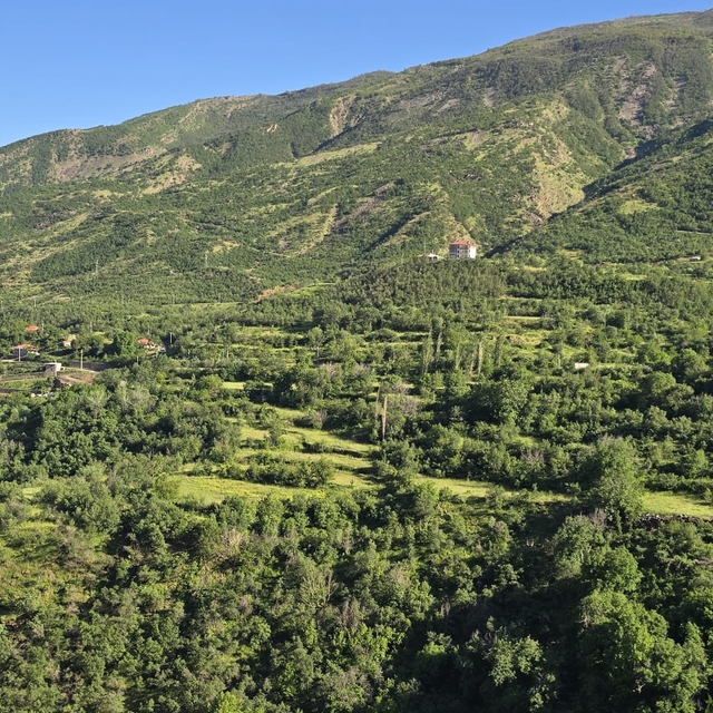 Şırnak'ta ormanlara girişler 30 Eylül'e kadar yasaklandı