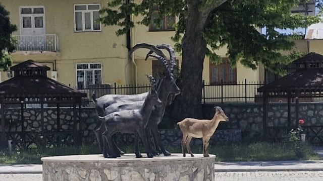 Çemişgezek'te tebessüm ettiren an: Gerçeği ve heykeli aynı karede