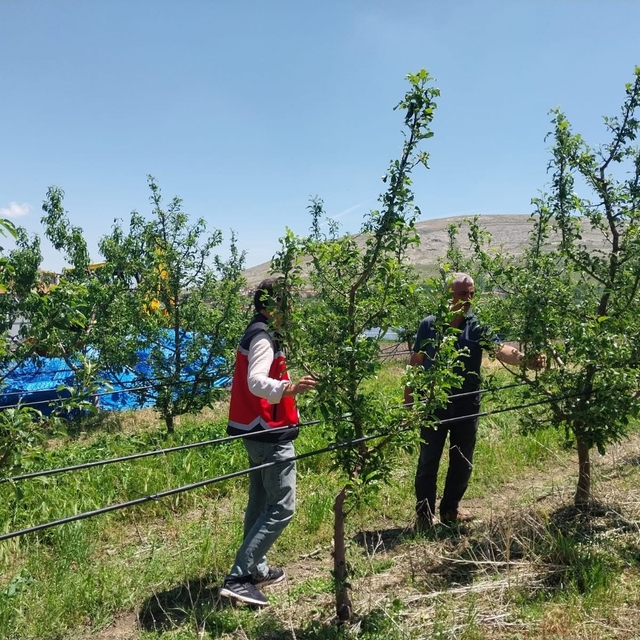 Niğde'de dolu ve sağanak tarım arazilerine zarar verdi