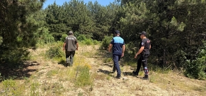 Dilovası'nda orman yangınlarına karşı sıkı denetim