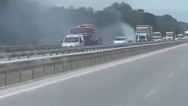 İzmir-Bursa kara yolunda alevler korkuttu
Sıcak hava ve kuru otlar sebebiyle hızla büyüyen yangını itfaiye ekipleri söndürdü