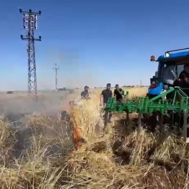 Şanlıurfa'da onlarca dönümlük arpa ekili tarla kül oldu
Emekleri kül olan ç...