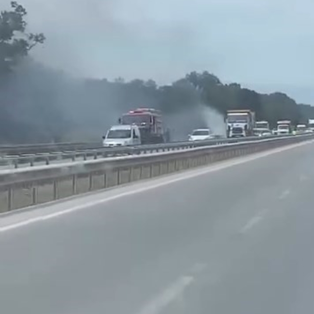 İzmir-Bursa kara yolunda alevler korkuttu
Sıcak hava ve kuru otlar sebebiyl...