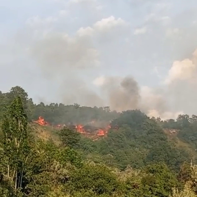 Bursa'da makilik alanda yangın