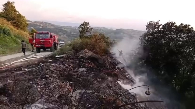 Makilikte çıkan yangın söndürüldü