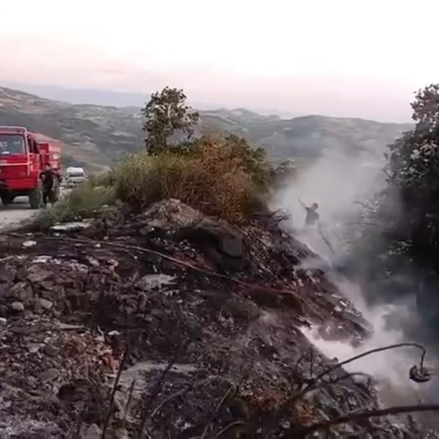 Makilikte çıkan yangın söndürüldü