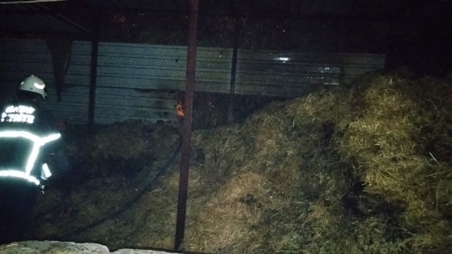Kumlu'da samalık yangını