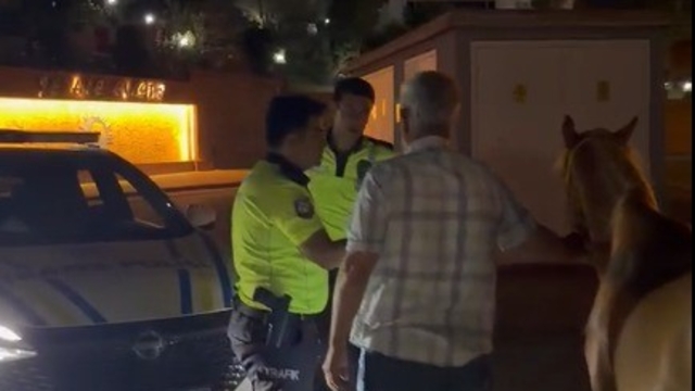 Kahramanmaraş'ta kaçan atları trafik polisleri sahibine teslim etti