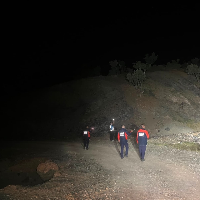 Siirt'yte kaybolan çoban için arama çalışmaları başlatıldı