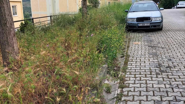 Bilecik'te vatandaşlar otlardan kaldırımda yürüyemiyor