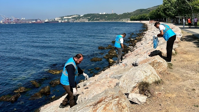Dilovası'nda Marmara Denizi için sahil temizliği yapıldı