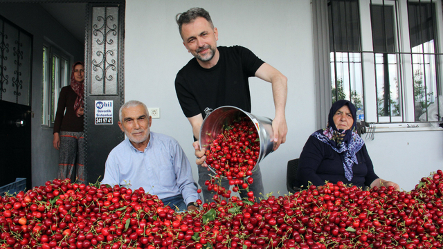 Türkiye'de kiraz mevsimi; Avrupa'ya ihracat başladı