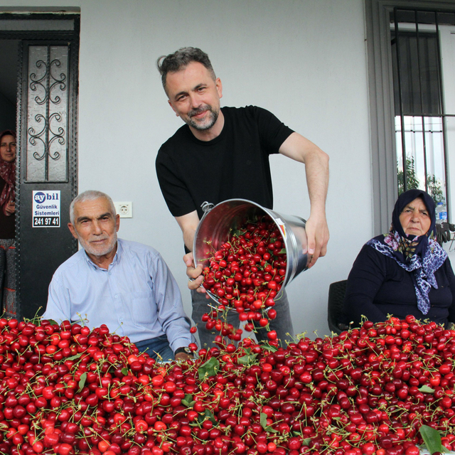 Türkiye'de kiraz mevsimi; Avrupa'ya ihracat başladı