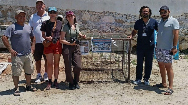 Aydın'da ilk caretta caretta yuvası Didim'de tespit edildi