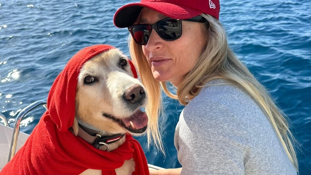 Bodrum'daki köpek davasında sanık beraat etti