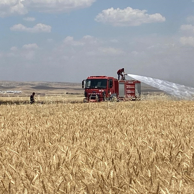 Mardin'de yaklaşık 300 dönüm ekili alan alevlere teslim oldu