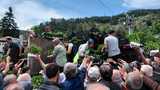 Bolu'da ücretsiz fide dağıtımına yoğun katılım