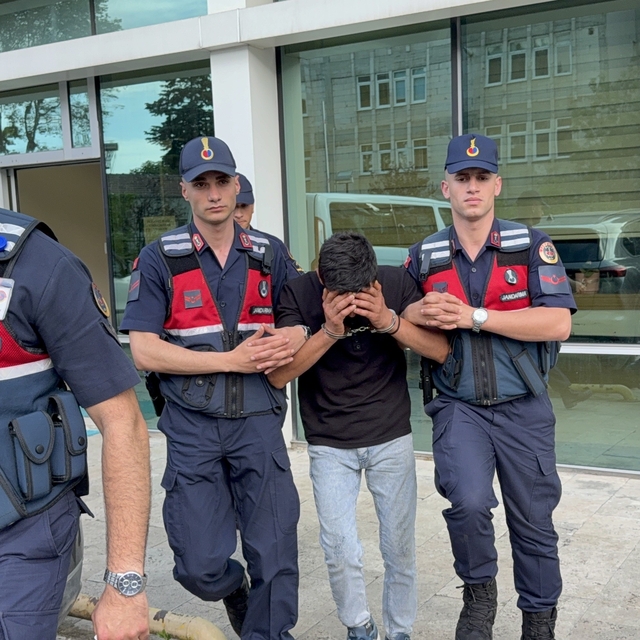 Televizyon hırsızlığı zanlısı, jandarma ekiplerince yakalandı