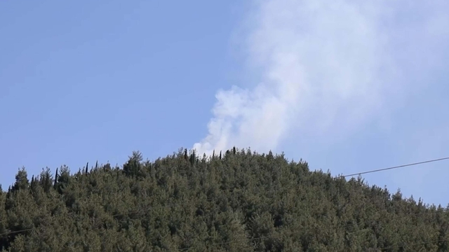Galeri