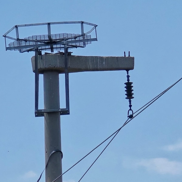Şırnak'ta leyleklerin akıma kapılmaması için direklere 13 özel platform kur...