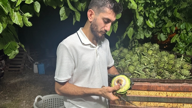 Ailecek enginar soyucular: Soyması 10 saniye sürüyor
