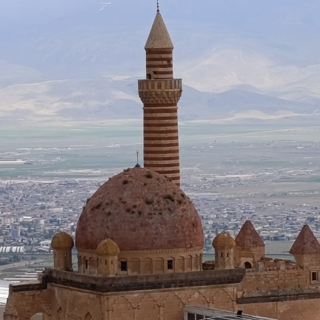 İshakpaşa Sarayı'nın kubbesindeki otlar ziyaretçilerin dikkatini çekti