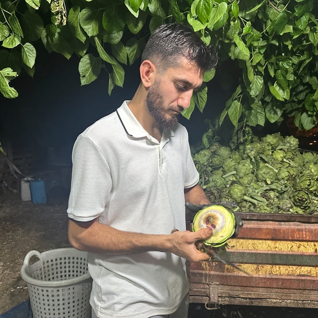Ailecek enginar soyucular: Soyması 10 saniye sürüyor