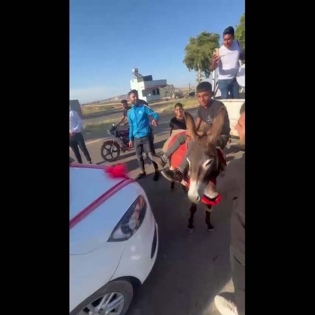 Çocuk çobanlar, eşekle düğün konvoyunun önünü kesip damattan bahşiş aldı