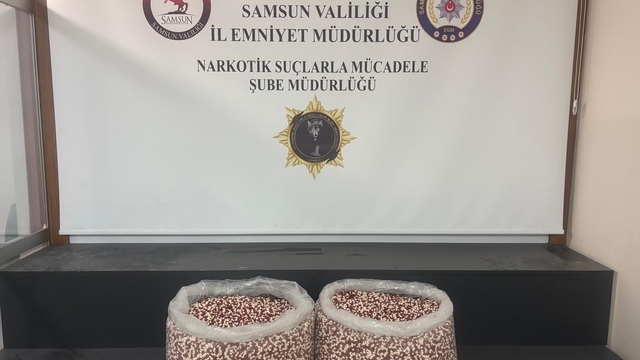 Tırın yatak bölümünde 129 bin 500 uyuşturucu hap ele geçti