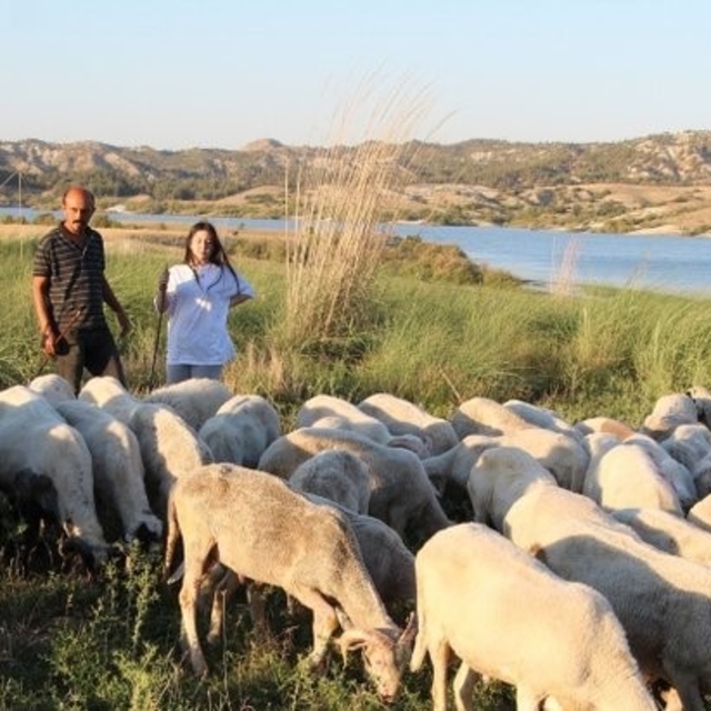 Çobanlık yaparken 2 dil öğrendi, üniversiteyi birincilikle bitirdi