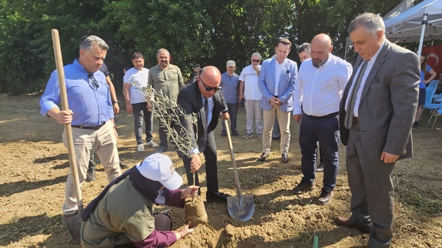 Marmarabirlik'ten mesleki eğitime anlamlı destek
Bin 160 zeytin fidanı toprakla buluştu