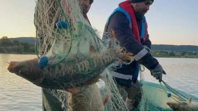 Kastamonu'da baraj gölünde yüzlerce metre hayalet ağ ele geçirildi: 200 kilogram sazan kurtarıldı