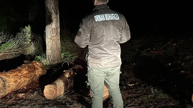 Sinop ormanları gece-gündüz koruma altında