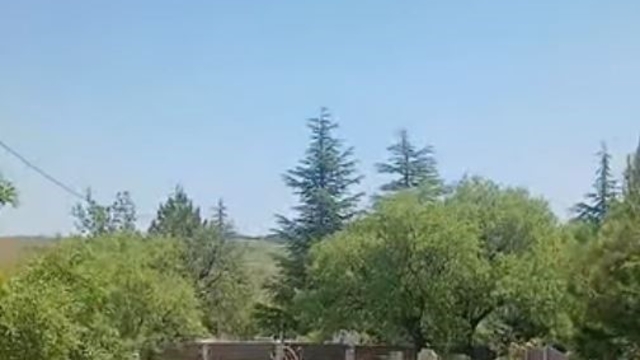 Koruma altındaki dağ keçileri Harput mezarlıklarında görüntülendi