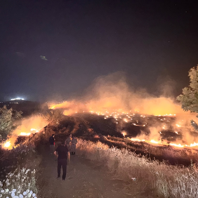 Hatay'da anız yangını, zeytin bahçelerine zarar verdi