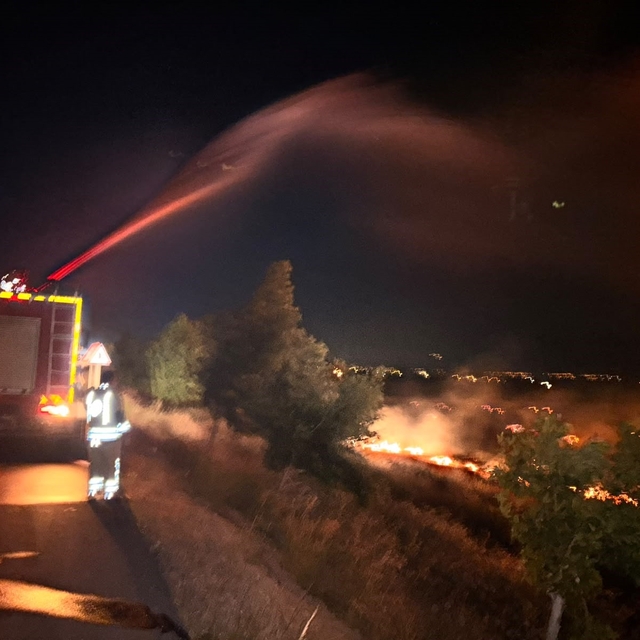 Hatay'da anız yangını zeytinliğe sıçradı: 200 dönüm arazi zarar gördü