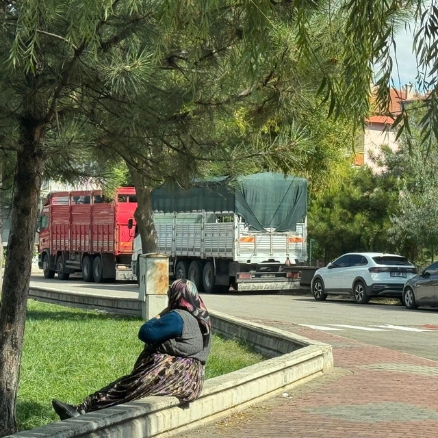 Erol'dan mahalle aralarına park eden tır ve kamyon sürücülerine önemli uyar...