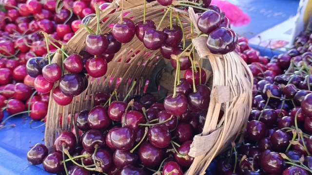 Tekirdağ'da kiraz fiyatları düşüşe geçti: 250 TL'den 150-100 TL bandına geriledi