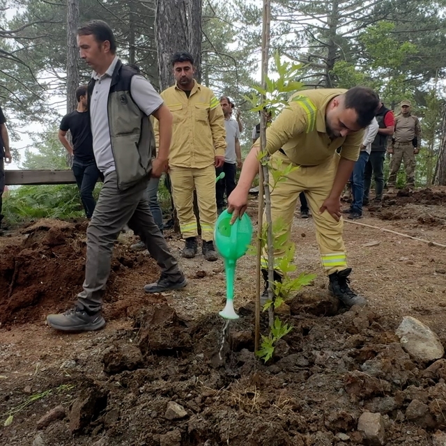 Osmaniye'de orman arazisine kaçak inşa edilen evlerin yıkımı sürüyor