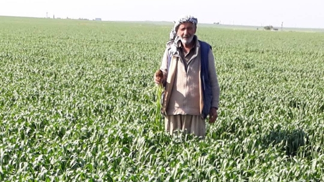 Mardin'de otomobiller çarpıştı: 1 ölü, 4 yaralı (2)
